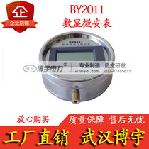 Wuhan Boyu BY2011 antistatic high-pressure microammeter digital micro-security table guarantee