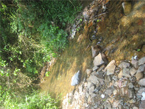  Refined Mulberry leather Imitation Song Dynasty ribbed single slot fur hand-picked four-foot special leather 8 9 points cooked Renchen leather material