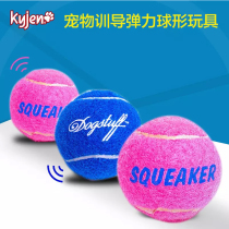 Cool pole dog toy pet resistant to bite tennis molars sound bouncing ball than bear VIP golden hair Teddy puppies