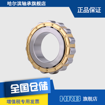 HRB cycloidal machine special bearing short cylindrical RN336M
