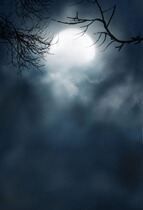 Plate woman costume background paper photo studio costume painting background costume painting background ancient costume photo background PZ-1347