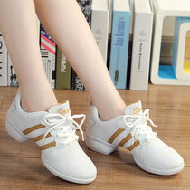 Alewei dance shoes womens spring and autumn new soft bottom mesh breathable womens square dance shoes adult Middle heel dancing shoes