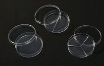 Disposable petri dish 90mm two three four grid plastic culture plate 10 packs of ethylene oxide