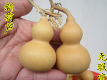 2019 New Head crop gourd natural wenplay play gourd hand twist gourd boutique small gourd 5-7 spot