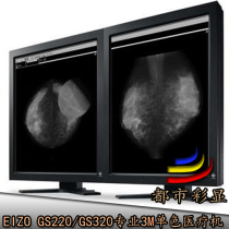 EIZO eizhuo 21 inch GX340 GS320 medical 3m monochrome black and white gray CT professional LCD monitor