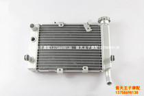 Suitable for small Huanglong BJ250-15 15A water tank assembly radiator water cooling box fan cooling box