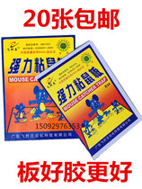 Sticky mouse board Super strong mouse paste ultra-thick and large mouse adhesive board rat killer rat trap cage rat repellent