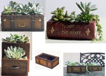 zakka creative book suitcase cosmetic case succulent plant basin micro landscape ornaments birthday gift home decoration