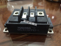 MG400H1FK1 MG300M1FK1 MG200M1FK1