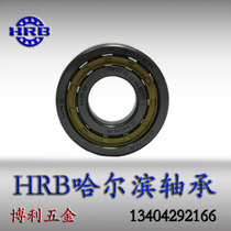 HRB cylindrical roller bearing NU204EM NJ204EM N204EM RN204M 32204 42204