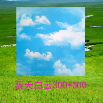 Ganzhou integrated ceiling kitchen bathroom dining room aluminum gusset module blue sky white cloud anti-oil pollution self-cleaning