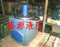 YB-D12 5 YB-D16 YB-D20 YB-D25 vane pump