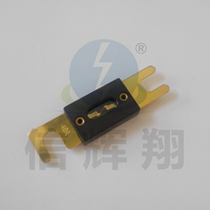Bolt type car fuse fork Bolt type large flat plug car fuse 40A 32V