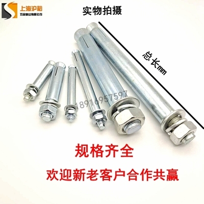 Metal 150 iron * m18m20m22m24 Bolt expansion National Standard Screw Big t head new product 5 galvanized expansion outside