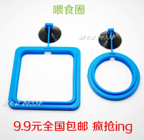 Fish feeding circle Aquarium Fish food feeding circle Fish food Feeding circle Flake feeder Floating feeder