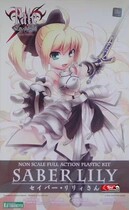 Suouse Fate fate Long Night Saber Lily Saibasseba Lily rider in spot