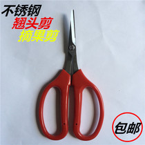Garden gardening cut stainless steel teething scissors fruits and vegetables fruit branches picking scissors repair branches whole branches custard