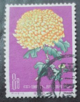 Special 44 chrysanthemum letter Sales Top back 18-6