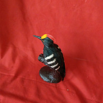 Factory direct sketching teaching aids 3 still life model ceramic tank simulation fruit bird specimen gypsum geometry