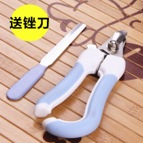 Day special pet nail clippers dog nail clippers nail clippers big and small dog Teddy cat nail scissors supplies