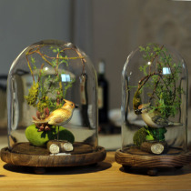 Creative transparent glass cover ornaments European and American home living room model room glass decoration fashion decoration