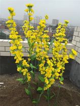 Simulation of rape flower silk flower fake flower artificial flower wedding background with flower shooting props Flower Factory Direct Sales