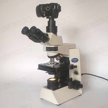  OLYMPUS Olympus CX41 three-eye biological microscope with SLR camera adapter to take SLR photos