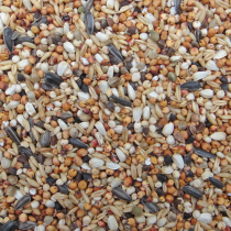 Young pigeons Dove food pigeon feed no corn pea pigeon grain Zhejiang Shanghai Anhui 50kg