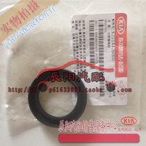 The original plant of the plane bearings of the Kia Chiri Masayra Plato