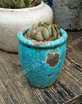 Fall in love with the garden) Foreign trade do old country style fleshy flowerpot ice crack blue glaze bottom basin