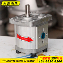 Hydraulic gear pump oil pump CBN-E304306310314316320325 high pressure pump CBT-F pump station pump valve