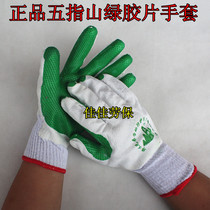 Wuzhishan Film Gloves Labor Protection Work Wear-resistant Work Gloves Anti-slip Gloves Thickened Glue Anti-slip Wear-resistant