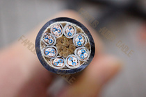 Japan Jianmei CANARE L4E4-8P professional recording level high-end 8 sets of signal cable preparation shielding