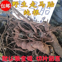 Chinese herbal medicine walking horse fetus 500 grams wild horse Teng blood Maple big hair medicine Walking Horse wind whole plant can be sliced