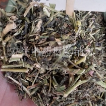Solanum grass Chinese medicinal material Solanum argplant bitter sunflower wild grape black eggplant 500g to improve myopia