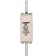 LINDNER NH0 NT0 fuse 6 8 10 16 20 25 32~125 160A 8000 series
