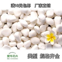 Pebble Stones Rain Flowers Stones Colorful Stone White Stones White Stones Colorful Pebble Colored Pebble Flower Pots Decorative Use