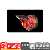 500248525 Ornamental fish goldfish colorful fish Colorful fish Colorful fish picture card stickers double-sided card single-sided card sunscreen