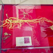 Ginseng Wild Mountain Ginseng Changbai Mountain First-class Ginseng Wild Mountain Ginseng Gift Box with Certificate Wild Ginseng Pruning Ginseng Gift Box