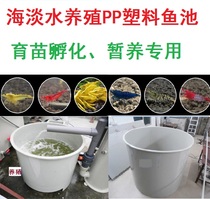  Aquaculture Sea freshwater aquaculture PP fish pond seedling incubation Plastic koi fish pond Temporary cultivation special plastic fish pond