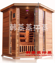 Han steaming factory direct sale beauty salon multi-person carbon board room sweat Steam Room 5 five-person mobile home sauna energy Wood
