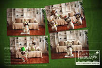 Lehman Crazy Rabbit wii version of cheap rabbit movie animation cartoon card postcard