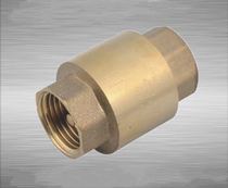 Shanghai Golden Bridge Valve H12W-16T Inner thread buckle vertical copper check valve Copper check valve DN25DN50