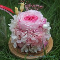 Valentines Day Gift Austin Glass Cover Imported Eternal Flower Rose Birthday Wedding Memorial