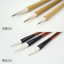 Chinese painting color plus healthy big white cloud small white cloud small white cloud Shanlian Yanghao brush watercolor painting gouache figure Flower
