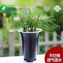 Meimei root orchid flower pot plastic flowerpot beyond purple sand flowerpot breathable pot multi-meat flowerpot