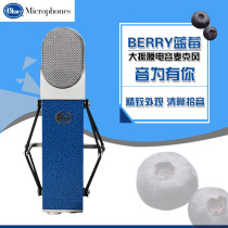 Blue BLUEBERRY BLUEBERRY professional condenser microphone recording studio guitar recording music making microphone