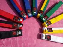 Taekwondo new belt sporting goods support sewing LOGO