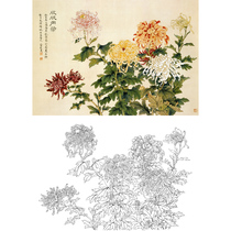 Gongbi Chinese painting Chrysanthemum white sketch background print Yu Zhizhen thriving 58*87 Original large color map 487T