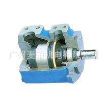 45VQ60A-1B-22L Guangdong HYDRAULIC DUPLEX PUMP